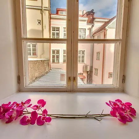 Luxury - Old Town Sauna Str * تالين